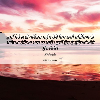 Picture 06 - ਖ਼ਰੋਜ 22:31 PANIRV - ਤੁਸੀਂ ਮੇਰੇ ਲਈ - Bible Verse Picture