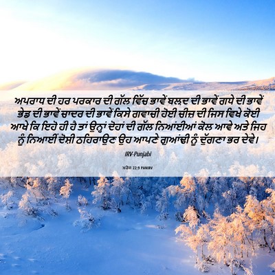 Picture 06 - ਖ਼ਰੋਜ 22:9 PANIRV - ਅਪਰਾਧ ਦੀ ਹਰ ਪਰਕਾਰ - Bible Verse Picture
