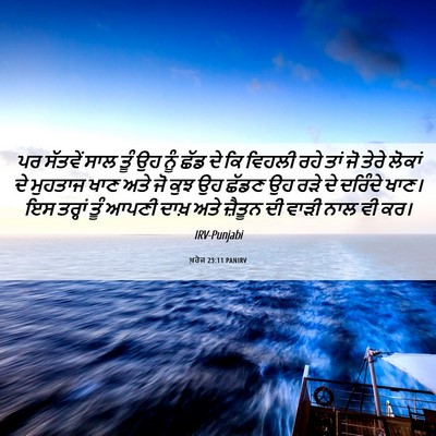 Picture 06 - ਖ਼ਰੋਜ 23:11 PANIRV - ਪਰ ਸੱਤਵੇਂ ਸਾਲ ਤੂੰ - Bible Verse Picture