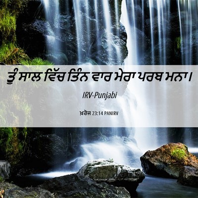 Picture 06 - ਖ਼ਰੋਜ 23:14 PANIRV - ਤੂੰ ਸਾਲ ਵਿੱਚ ਤਿੰਨ - Bible Verse Picture
