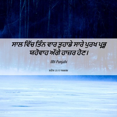 Picture 06 - ਖ਼ਰੋਜ 23:17 PANIRV - ਸਾਲ ਵਿੱਚ ਤਿੰਨ ਵਾਰ - Bible Verse Picture
