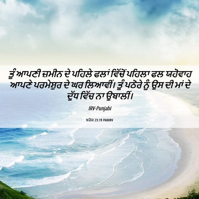 Picture 06 - ਖ਼ਰੋਜ 23:19 PANIRV - ਤੂੰ ਆਪਣੀ ਜ਼ਮੀਨ ਦੇ - Bible Verse Picture