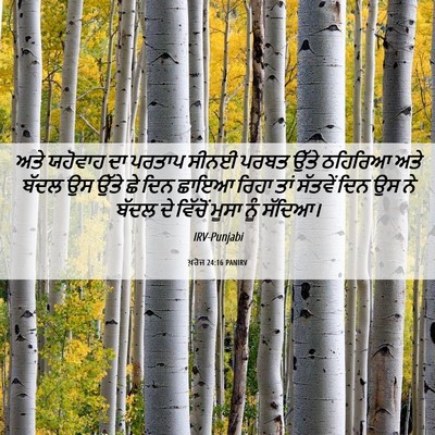 Picture 06 - ਖ਼ਰੋਜ 24:16 PANIRV - ਅਤੇ ਯਹੋਵਾਹ ਦਾ - Bible Verse Picture