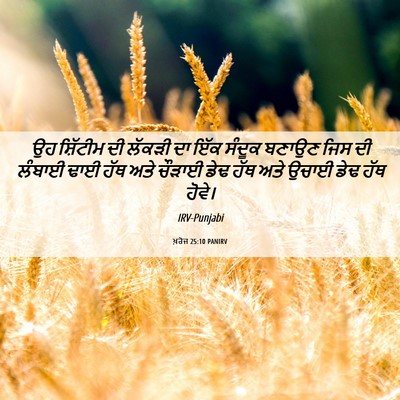 Picture 06 - ਖ਼ਰੋਜ 25:10 PANIRV - ਉਹ ਸ਼ਿੱਟੀਮ ਦੀ - Bible Verse Picture