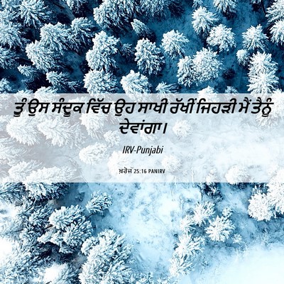 Picture 06 - ਖ਼ਰੋਜ 25:16 PANIRV - ਤੂੰ ਉਸ ਸੰਦੂਕ ਵਿੱਚ - Bible Verse Picture