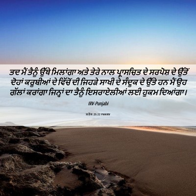 Picture 06 - ਖ਼ਰੋਜ 25:22 PANIRV - ਤਦ ਮੈਂ ਤੈਨੂੰ ਉੱਥੇ - Bible Verse Picture