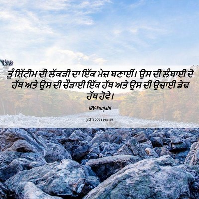 Picture 06 - ਖ਼ਰੋਜ 25:23 PANIRV - ਤੂੰ ਸ਼ਿੱਟੀਮ ਦੀ - Bible Verse Picture