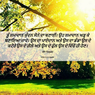 Picture 06 - ਖ਼ਰੋਜ 25:31 PANIRV - ਤੂੰ ਸ਼ਮਾਦਾਨ ਕੁੰਦਨ - Bible Verse Picture