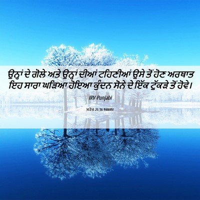 Picture 06 - ਖ਼ਰੋਜ 25:36 PANIRV - ਉਨ੍ਹਾਂ ਦੇ ਗੋਲੇ ਅਤੇ - Bible Verse Picture