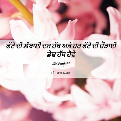 Picture 06 - ਖ਼ਰੋਜ 26:16 PANIRV - ਫੱਟੇ ਦੀ ਲੰਬਾਈ ਦਸ - Bible Verse Picture