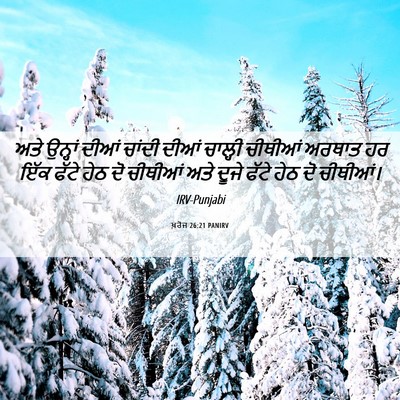 Picture 06 - ਖ਼ਰੋਜ 26:21 PANIRV - ਅਤੇ ਉਨ੍ਹਾਂ ਦੀਆਂ - Bible Verse Picture
