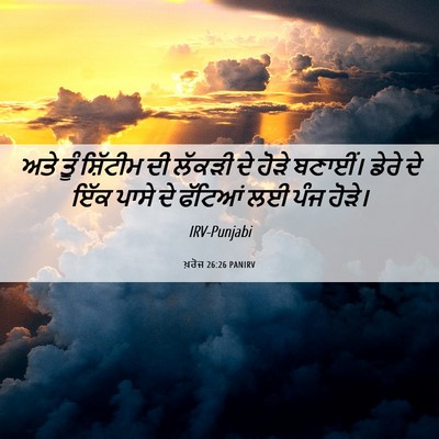 Picture 06 - ਖ਼ਰੋਜ 26:26 PANIRV - ਅਤੇ ਤੂੰ ਸ਼ਿੱਟੀਮ ਦੀ - Bible Verse Picture