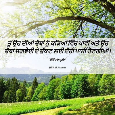 Picture 06 - ਖ਼ਰੋਜ 27:7 PANIRV - ਤੂੰ ਉਹ ਦੀਆਂ ਚੋਬਾਂ - Bible Verse Picture