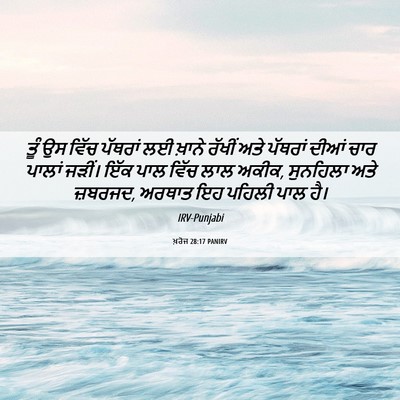 Picture 06 - ਖ਼ਰੋਜ 28:17 PANIRV - ਤੂੰ ਉਸ ਵਿੱਚ ਪੱਥਰਾਂ - Bible Verse Picture