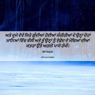 Picture 06 - ਖ਼ਰੋਜ 28:25 PANIRV - ਅਤੇ ਦੂਜੇ ਦੋਵੇਂ - Bible Verse Picture