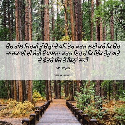 Picture 06 - ਖ਼ਰੋਜ 29:1 PANIRV - ਉਹ ਗੱਲ ਜਿਹੜੀ ਤੂੰ - Bible Verse Picture