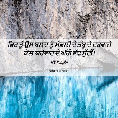 Picture 06 - ਖ਼ਰੋਜ 29:11 PANIRV - ਫਿਰ ਤੂੰ ਉਸ ਬਲ਼ਦ ਨੂੰ - Bible Verse Picture