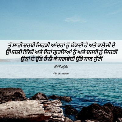 Picture 06 - ਖ਼ਰੋਜ 29:13 PANIRV - ਤੂੰ ਸਾਰੀ ਚਰਬੀ - Bible Verse Picture