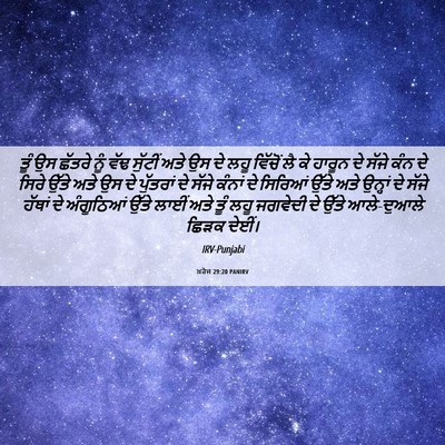 Picture 06 - ਖ਼ਰੋਜ 29:20 PANIRV - ਤੂੰ ਉਸ ਛੱਤਰੇ ਨੂੰ - Bible Verse Picture