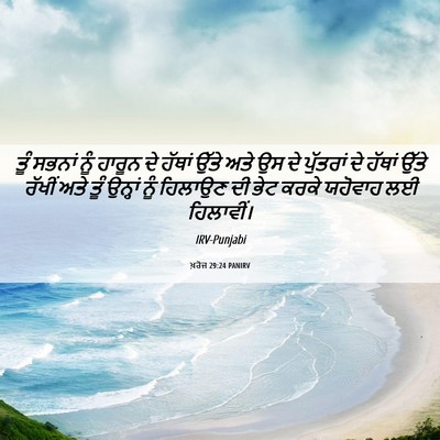 Picture 06 - ਖ਼ਰੋਜ 29:24 PANIRV - ਤੂੰ ਸਭਨਾਂ ਨੂੰ - Bible Verse Picture