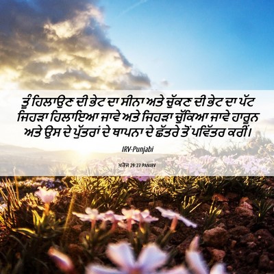 Picture 06 - ਖ਼ਰੋਜ 29:27 PANIRV - ਤੂੰ ਹਿਲਾਉਣ ਦੀ ਭੇਟ - Bible Verse Picture