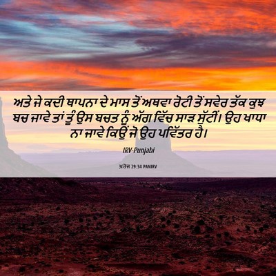 Picture 06 - ਖ਼ਰੋਜ 29:34 PANIRV - ਅਤੇ ਜੇ ਕਦੀ ਥਾਪਨਾ ਦੇ - Bible Verse Picture