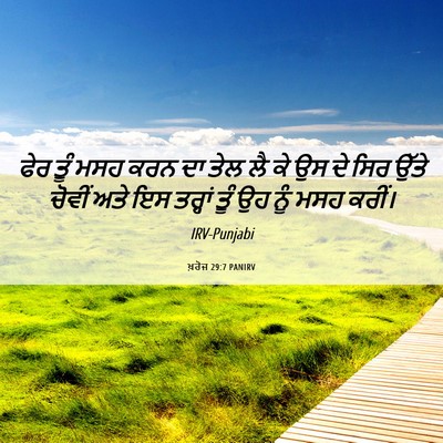 Picture 06 - ਖ਼ਰੋਜ 29:7 PANIRV - ਫੇਰ ਤੂੰ ਮਸਹ ਕਰਨ ਦਾ - Bible Verse Picture