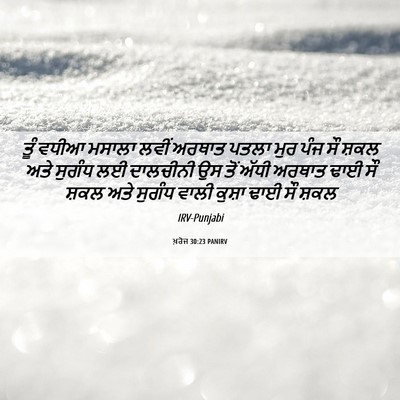 Picture 06 - ਖ਼ਰੋਜ 30:23 PANIRV - ਤੂੰ ਵਧੀਆ ਮਸਾਲਾ - Bible Verse Picture