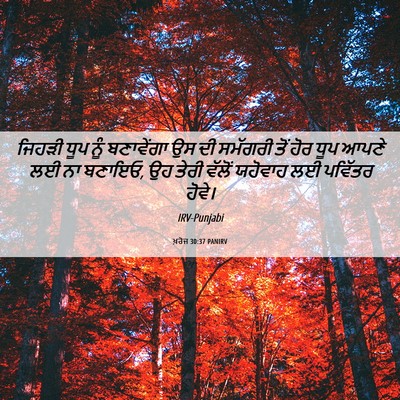 Picture 06 - ਖ਼ਰੋਜ 30:37 PANIRV - ਜਿਹੜੀ ਧੂਪ ਨੂੰ - Bible Verse Picture