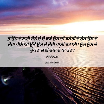 Picture 06 - ਖ਼ਰੋਜ 30:4 PANIRV - ਤੂੰ ਉਹ ਦੇ ਲਈ ਸੋਨੇ - Bible Verse Picture