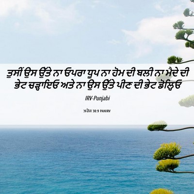 Picture 06 - ਖ਼ਰੋਜ 30:9 PANIRV - ਤੁਸੀਂ ਉਸ ਉੱਤੇ ਨਾ - Bible Verse Picture