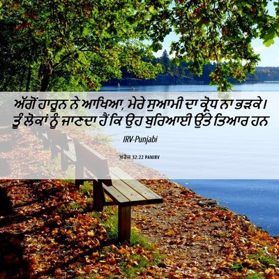 Picture 06 - ਖ਼ਰੋਜ 32:22 PANIRV - ਅੱਗੋਂ ਹਾਰੂਨ ਨੇ - Bible Verse Picture