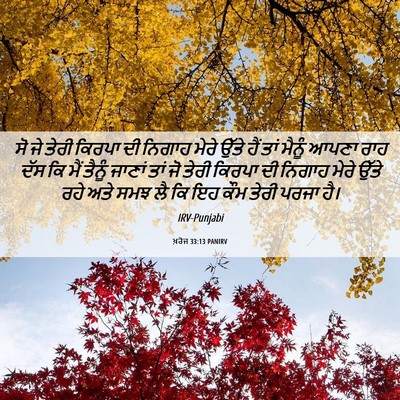 Picture 06 - ਖ਼ਰੋਜ 33:13 PANIRV - ਸੋ ਜੇ ਤੇਰੀ ਕਿਰਪਾ ਦੀ - Bible Verse Picture