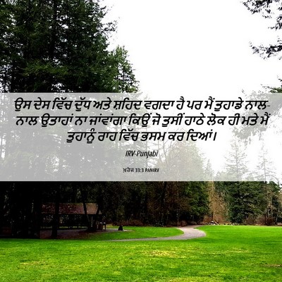 Picture 06 - ਖ਼ਰੋਜ 33:3 PANIRV - ਉਸ ਦੇਸ ਵਿੱਚ ਦੁੱਧ - Bible Verse Picture