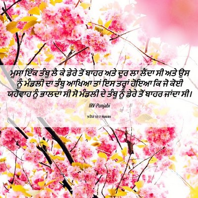 Picture 06 - ਖ਼ਰੋਜ 33:7 PANIRV - ਮੂਸਾ ਇੱਕ ਤੰਬੂ ਲੈ ਕੇ - Bible Verse Picture