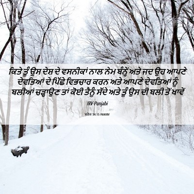 Picture 06 - ਖ਼ਰੋਜ 34:15 PANIRV - ਕਿਤੇ ਤੂੰ ਉਸ ਦੇਸ਼ ਦੇ - Bible Verse Picture