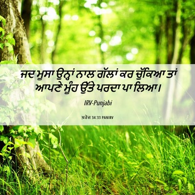 Picture 06 - ਖ਼ਰੋਜ 34:33 PANIRV - ਜਦ ਮੂਸਾ ਉਨ੍ਹਾਂ ਨਾਲ - Bible Verse Picture