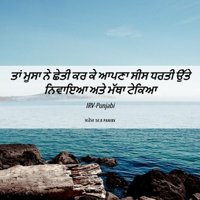 Picture 06 - ਖ਼ਰੋਜ 34:8 PANIRV - ਤਾਂ ਮੂਸਾ ਨੇ ਛੇਤੀ ਕਰ - Bible Verse Picture