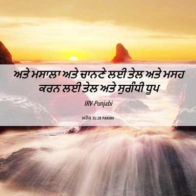 Picture 06 - ਖ਼ਰੋਜ 35:28 PANIRV - ਅਤੇ ਮਸਾਲਾ ਅਤੇ - Bible Verse Picture
