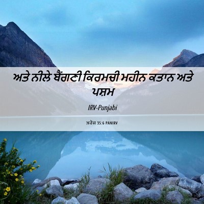 Picture 06 - ਖ਼ਰੋਜ 35:6 PANIRV - ਅਤੇ ਨੀਲੇ ਬੈਂਗਣੀ - Bible Verse Picture