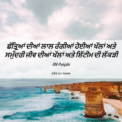 Picture 06 - ਖ਼ਰੋਜ 35:7 PANIRV - ਛੱਤ੍ਰਿਆਂ ਦੀਆਂ ਲਾਲ - Bible Verse Picture