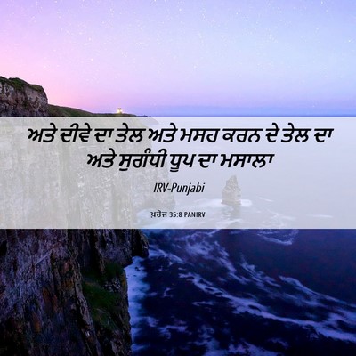 Picture 06 - ਖ਼ਰੋਜ 35:8 PANIRV - ਅਤੇ ਦੀਵੇ ਦਾ ਤੇਲ ਅਤੇ - Bible Verse Picture