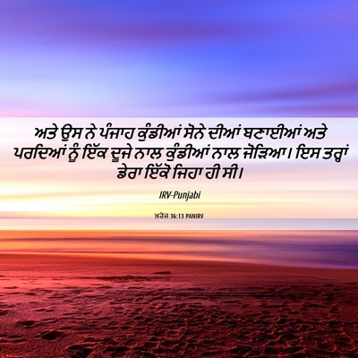Picture 06 - ਖ਼ਰੋਜ 36:13 PANIRV - ਅਤੇ ਉਸ ਨੇ ਪੰਜਾਹ - Bible Verse Picture