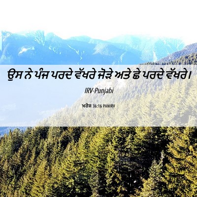 Picture 06 - ਖ਼ਰੋਜ 36:16 PANIRV - ਉਸ ਨੇ ਪੰਜ ਪਰਦੇ - Bible Verse Picture