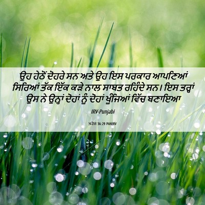 Picture 06 - ਖ਼ਰੋਜ 36:29 PANIRV - ਉਹ ਹੇਠੋਂ ਦੋਹਰੇ ਸਨ - Bible Verse Picture