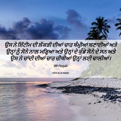 Picture 06 - ਖ਼ਰੋਜ 36:36 PANIRV - ਉਸ ਨੇ ਸ਼ਿੱਟੀਮ ਦੀ - Bible Verse Picture