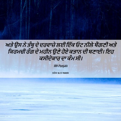 Picture 06 - ਖ਼ਰੋਜ 36:37 PANIRV - ਅਤੇ ਉਸ ਨੇ ਤੰਬੂ ਦੇ - Bible Verse Picture