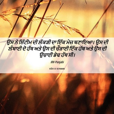 Picture 06 - ਖ਼ਰੋਜ 37:10 PANIRV - ਉਸ ਨੇ ਸ਼ਿੱਟੀਮ ਦੀ - Bible Verse Picture
