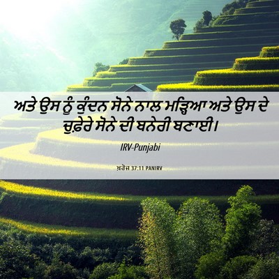 Picture 06 - ਖ਼ਰੋਜ 37:11 PANIRV - ਅਤੇ ਉਸ ਨੂੰ ਕੁੰਦਨ - Bible Verse Picture