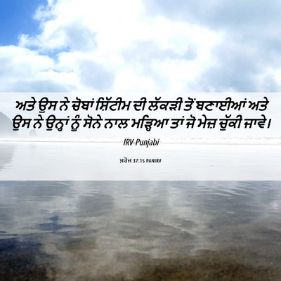 Picture 06 - ਖ਼ਰੋਜ 37:15 PANIRV - ਅਤੇ ਉਸ ਨੇ ਚੋਬਾਂ - Bible Verse Picture